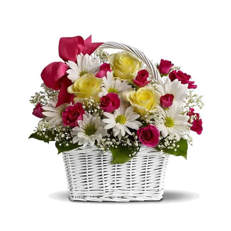 love centro, centro de margaritas y rosas bicolores, flores online