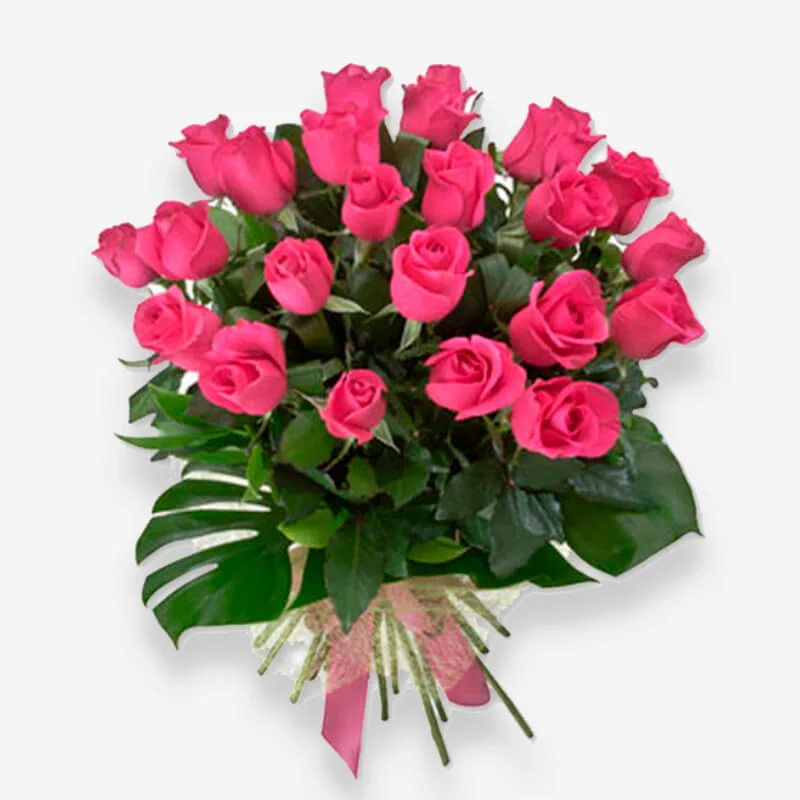 ramo de rosas fucsias a domicilio, 20 unidades