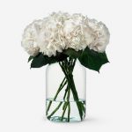 ramo de hortensias blancos a domicilio, envío de hortensias naturales Madrid, hortensias blancos online