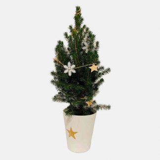 Abeto navideño