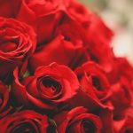 ramos de rosas rojas naturales a domicilio, rosas a domicilio Madrid
