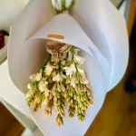comprar nardos aromáticos