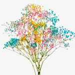 ramo de paniculata de colores a domicilio