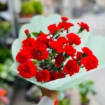 ramo de clavelinas rojos naturales a domicilio para regalar