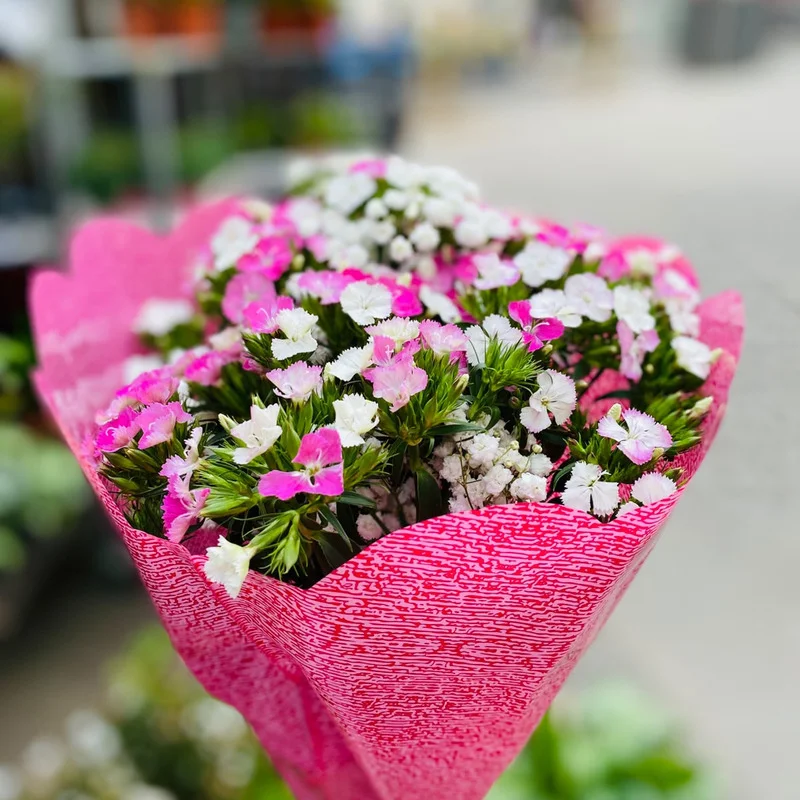 ramo de clavelinas chinas con colores rosados, blancos y fucsias